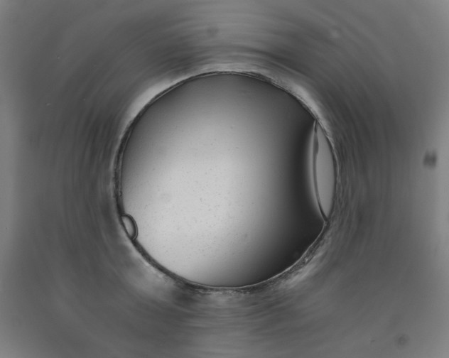 X0000091880803200709261350