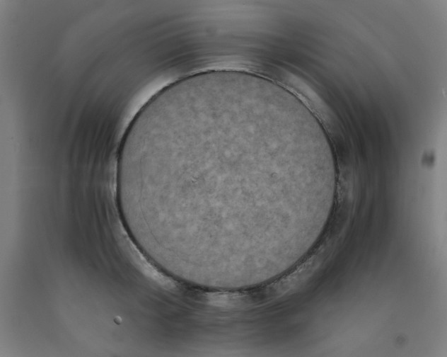 X0000091880804200709261350