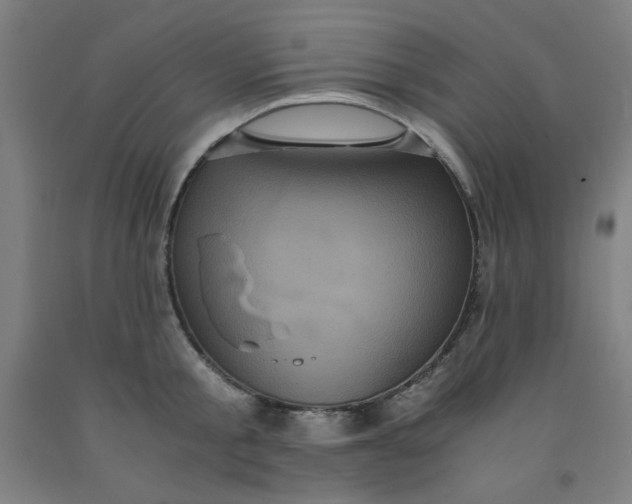 X0000091880805200709261350