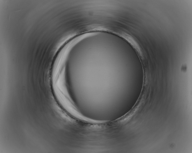 X0000091880806200709261350