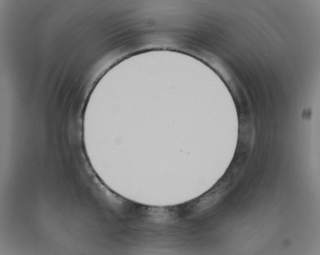 X0000091880807200709261350