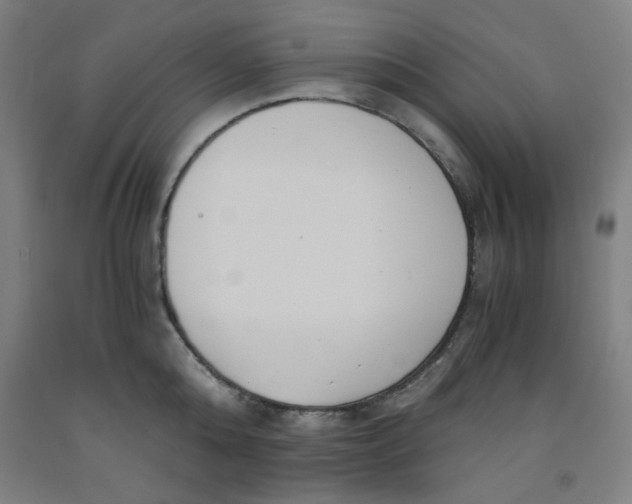 X0000091880808200709261350