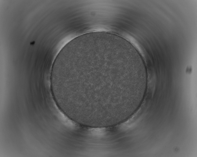 X0000091880810200709261350