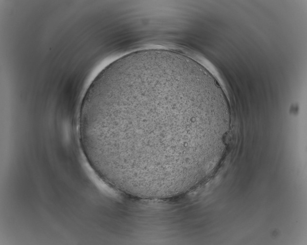 X0000091880811200709261350