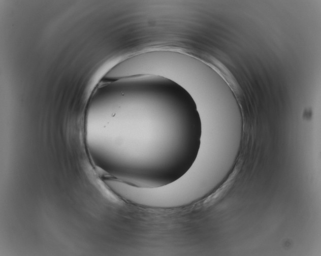 X0000091880812200709261350