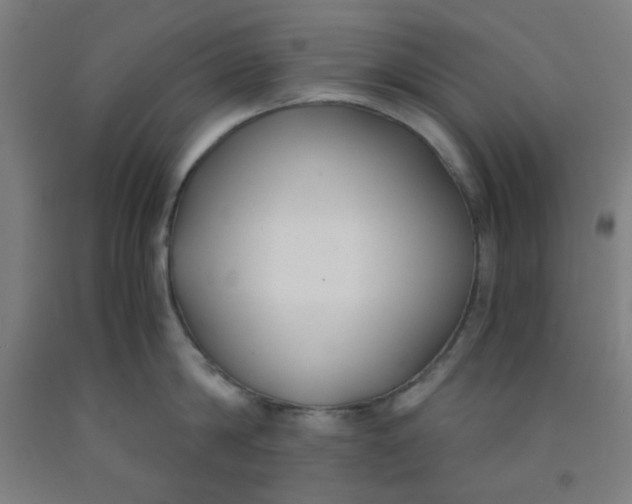 X0000091880814200709261350