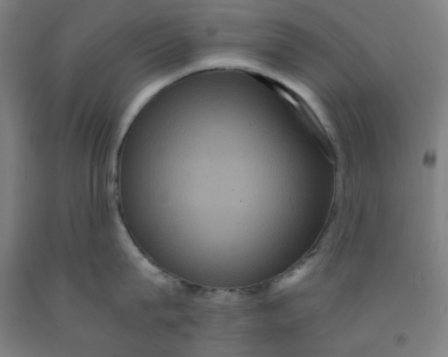 X0000091880815200709261350