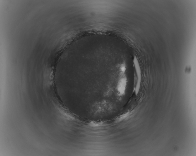 X0000091880818200709261349