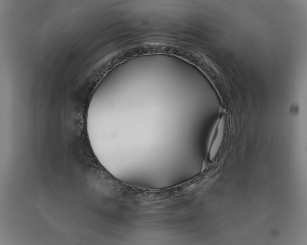 X0000091880821200709261349