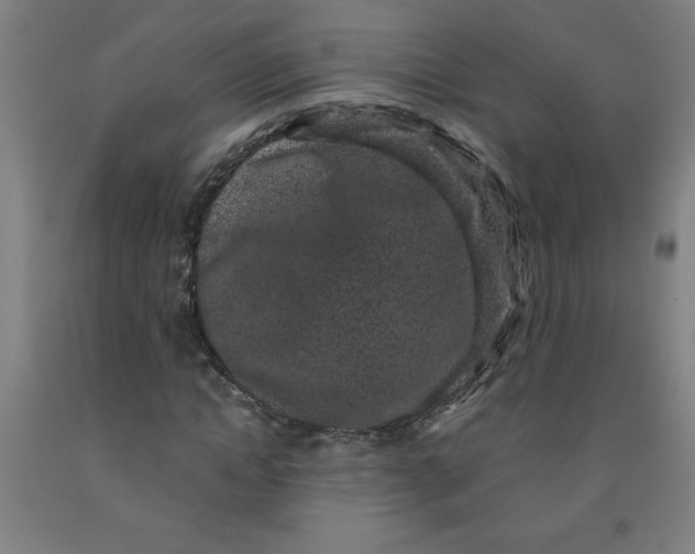 X0000091880822200709261349