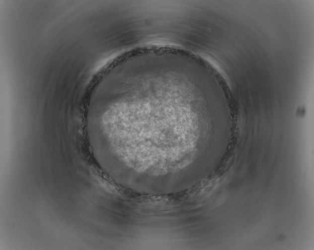 X0000091880823200709261349