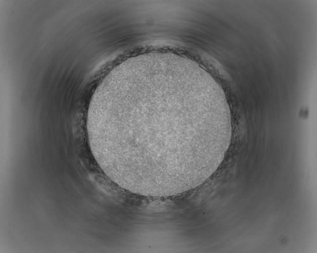 X0000091880824200709261349