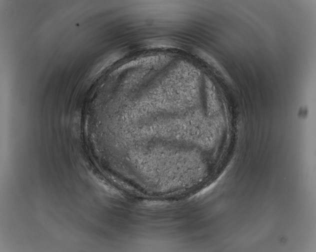 X0000091880825200709261349