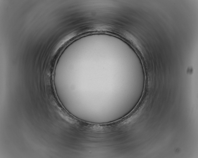 X0000091880827200709261349