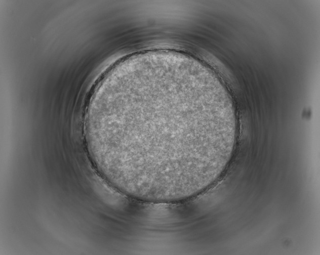 X0000091880828200709261349