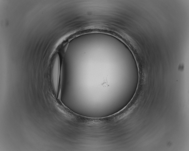 X0000091880830200709261349