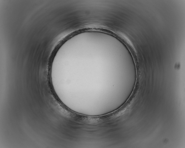 X0000091880831200709261349