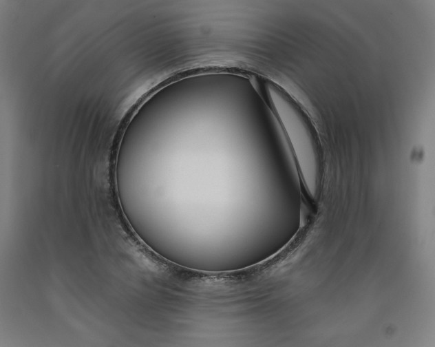 X0000091880834200709261349