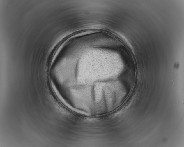 X0000091880835200709261349