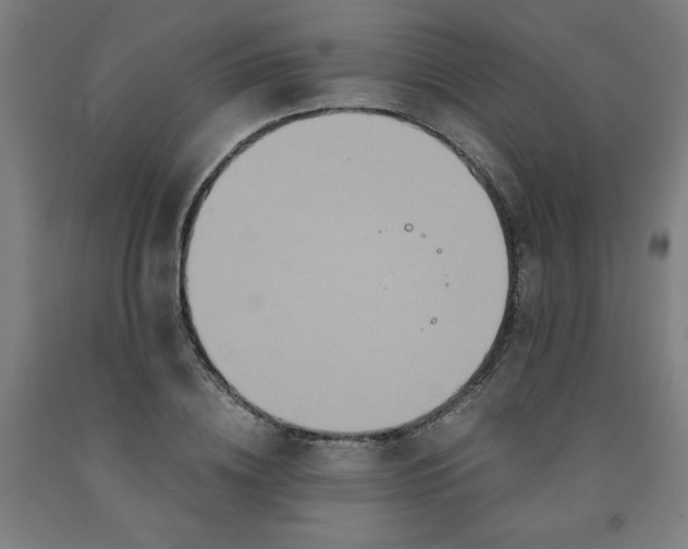 X0000091880836200709261349