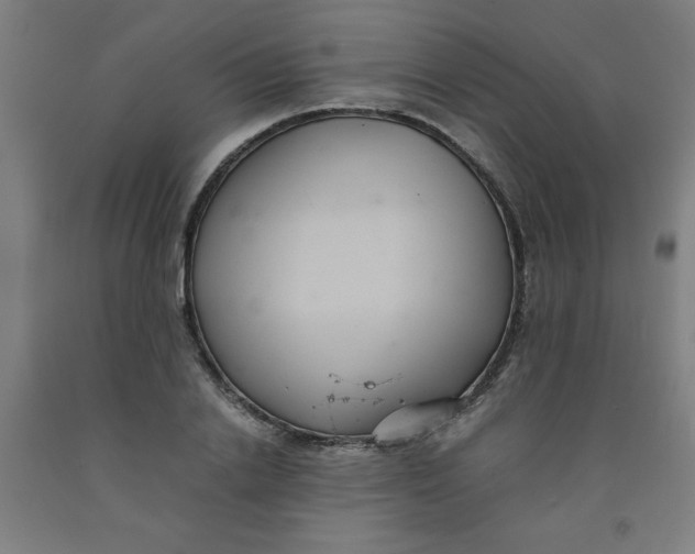 X0000091880838200709261349