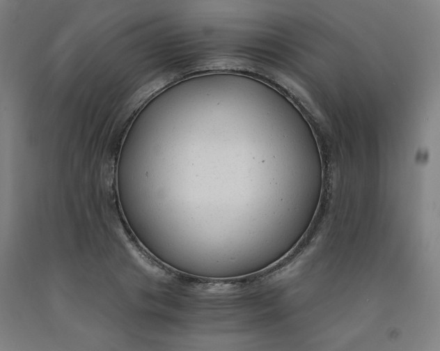 X0000091880841200709261349