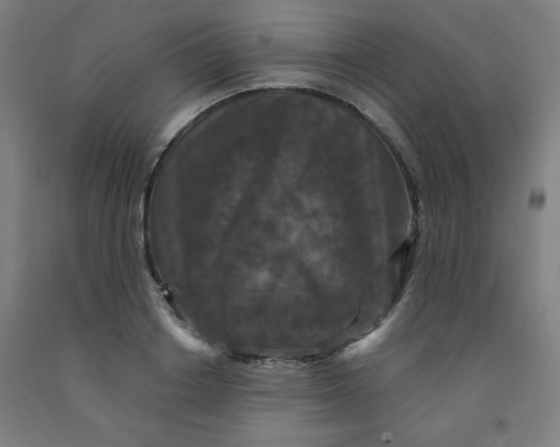 X0000091880842200709261349