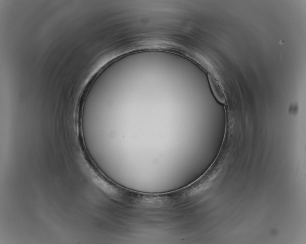 X0000091880843200709261349