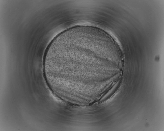 X0000091880845200709261349