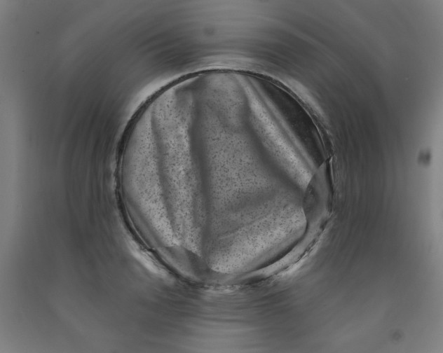 X0000091880846200709261349