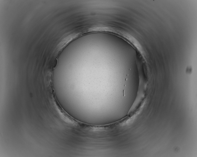 X0000091880849200709261349