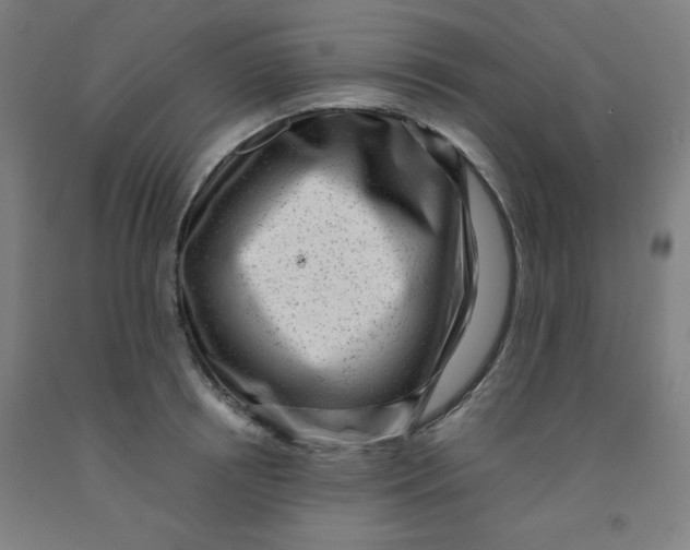 X0000091880850200709261349