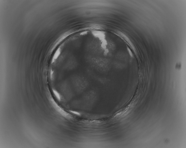 X0000091880851200709261349