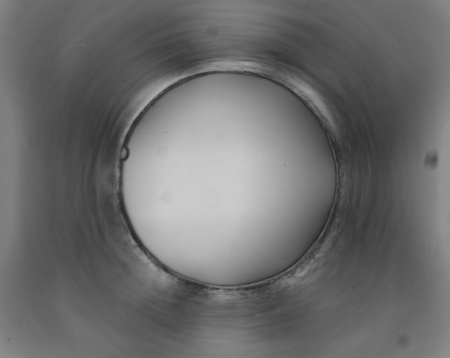 X0000091880852200709261349