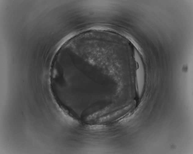 X0000091880853200709261349