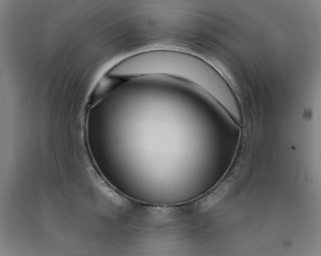 X0000091880854200709261350