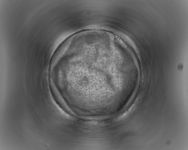 X0000091880855200709261350