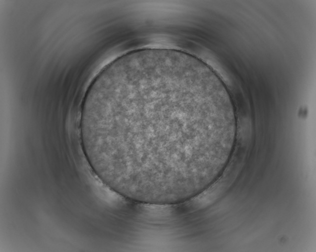 X0000091880856200709261350