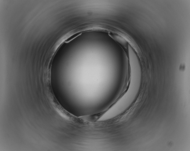 X0000091880858200709261350