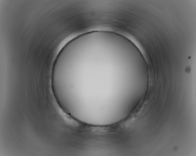 X0000091880861200709261350