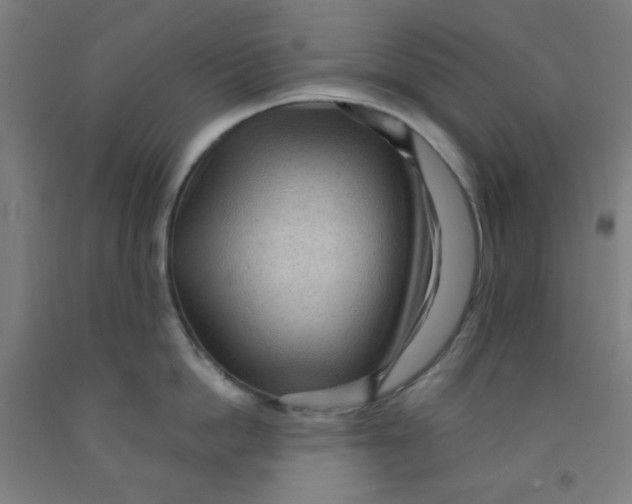 X0000091880862200709261350