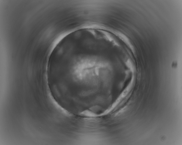 X0000091880863200709261350