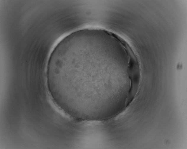 X0000091880864200709261350