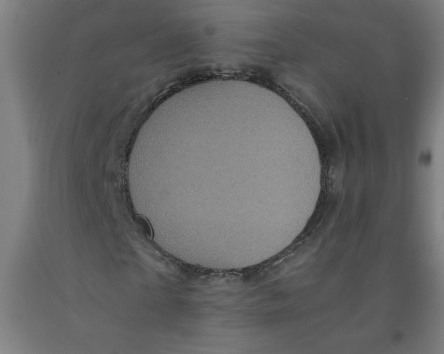 X0000091880865200709261349