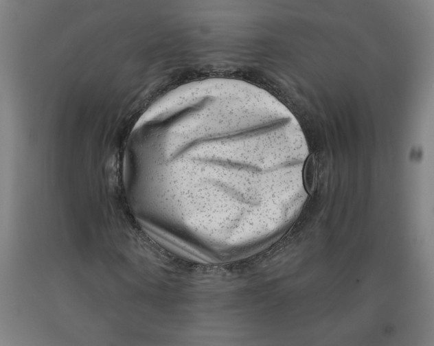 X0000091880866200709261349