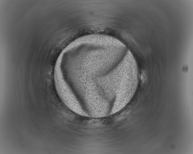 X0000091880867200709261349