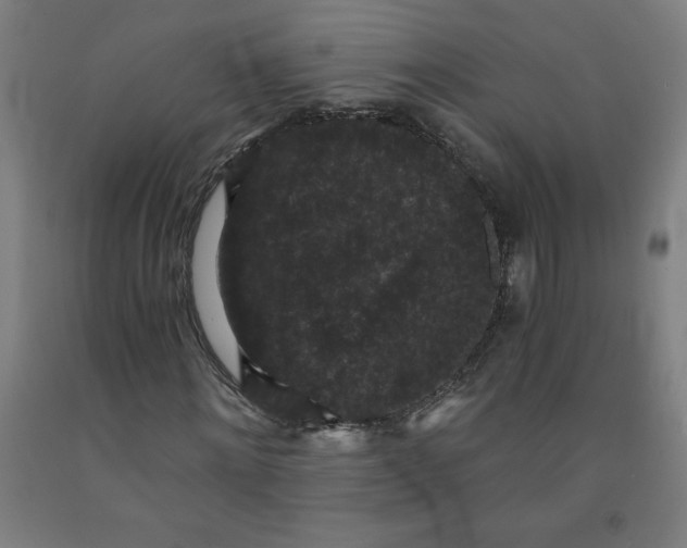 X0000091880868200709261349