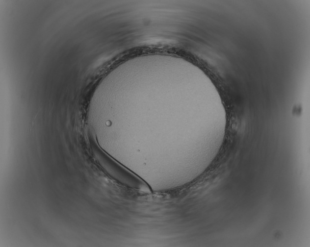 X0000091880869200709261349