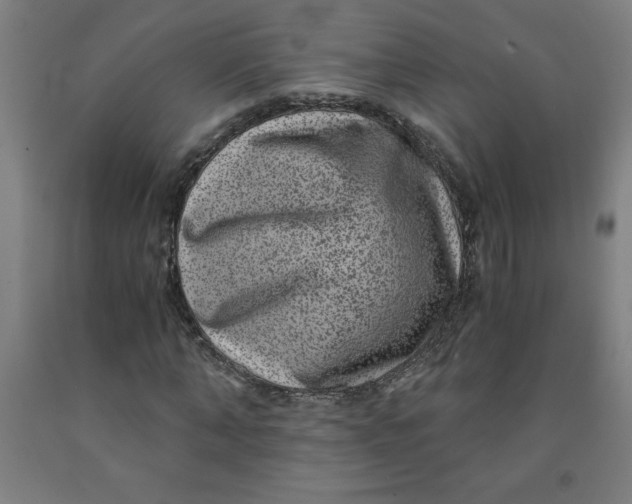 X0000091880870200709261349