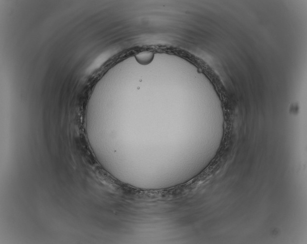 X0000091880871200709261349